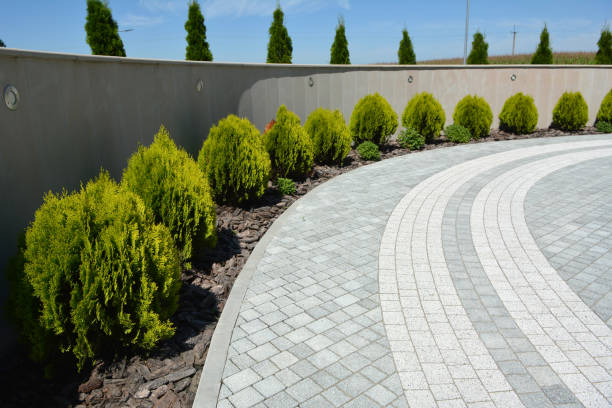 Reasons to Select Us for Your Driveway Paving Requirements in Hemlock, MI